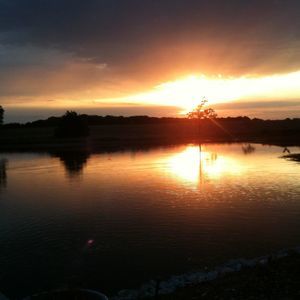 Meet your Posher, Gina